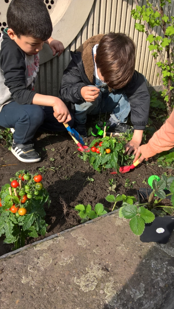 kinderen planten plantjes