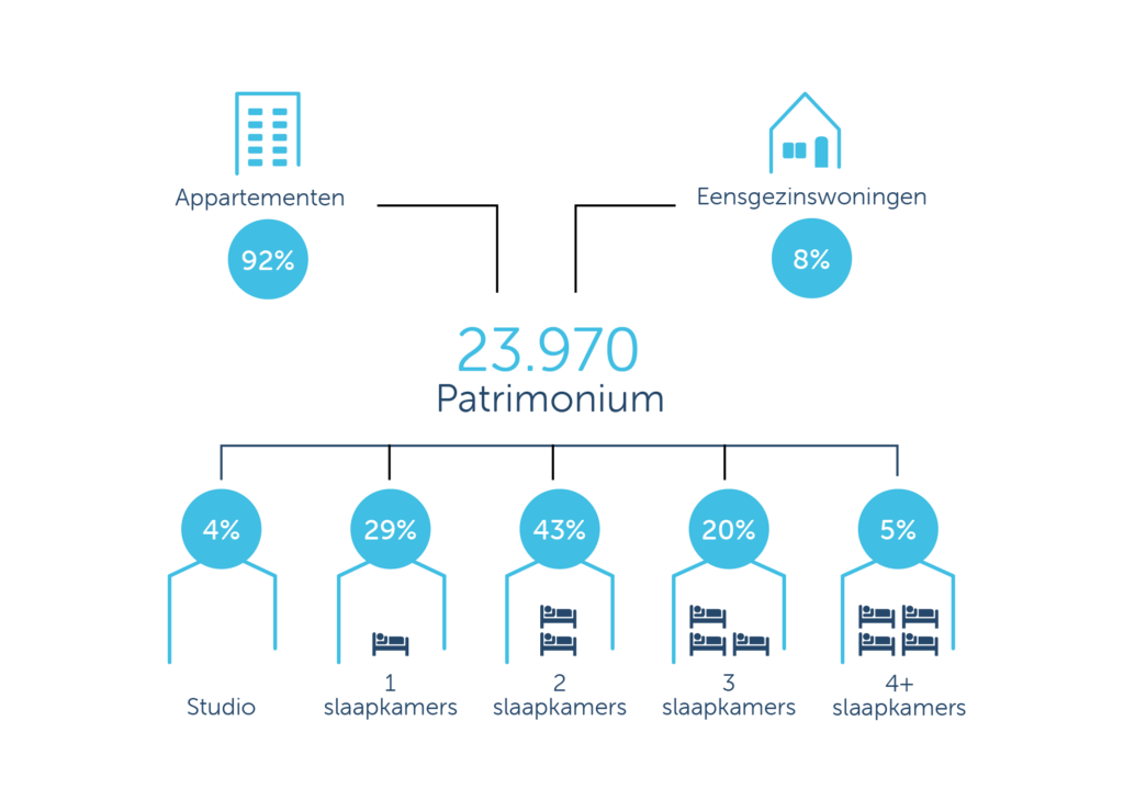 Infographic 2025 - patrimonium