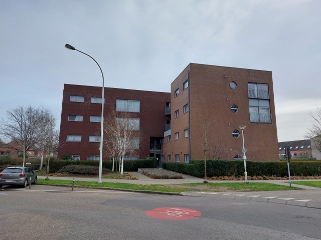 Rooiboslaan