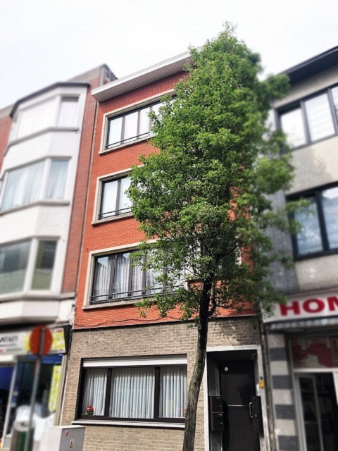 Diepestraat
