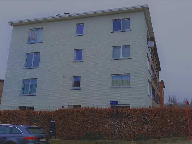 Singel