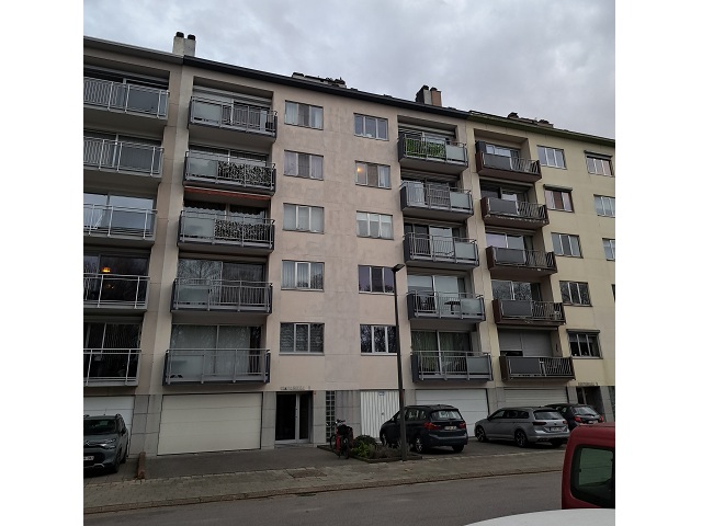 Wulpstraat