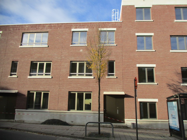 Berkenrodelei