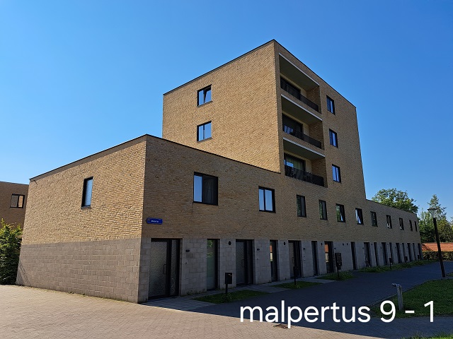 Malpertus