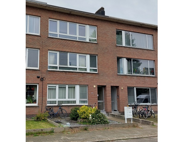 Singel