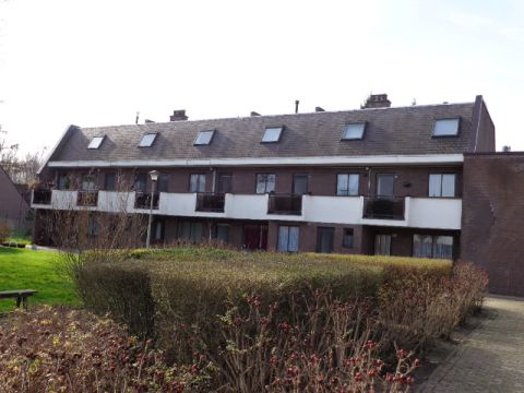 Salvador Allendestraat
